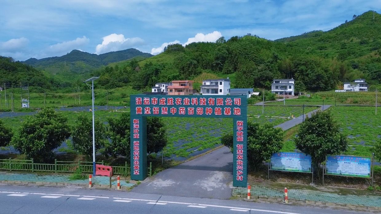 清远市成胜农业科技有限公司百部种植基地入口